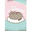 Detsek povleceni Kocicka Pusheen Dadydream detail