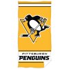 Plazova osuska Pittsburgh Penguins 161003