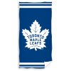Hokejova osuska Toronto Maple Leafs