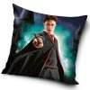 Detsky Polstarek Harry Potter Chlapec ktery prezil