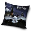 Detsky polstarek Harry Potter Hedvika v Bradavicich HP225068