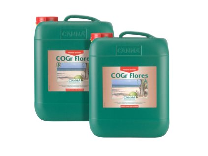 COGr Flores A+B