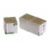 Pěstební kostka Rockwool 40×40×40 mm s centrální dírou pro sazenici.