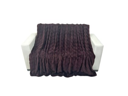 32200 2 mikroplysova deka 200 x 230 cm soft dream hneda