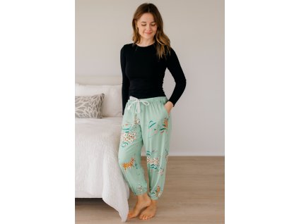 6ef743c7 8f32 42bb 9a4e 66bf0849b847