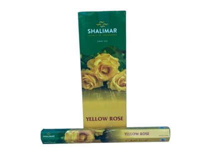 Yellow Rose