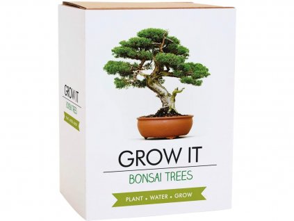 Grow it - Bonsai
