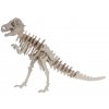 3D dřevěné puzzle dinosaurus