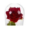 svitici vecna ruze ve skle darkovy box 21619 12