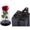 vecna svitici ruze ve sklenenem darkovem boxu 26069 4