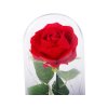 vecna svitici ruze ve sklenenem darkovem boxu 26069 5
