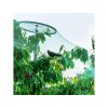 ochranna sit proti ptakum birdnet 4x5m 1