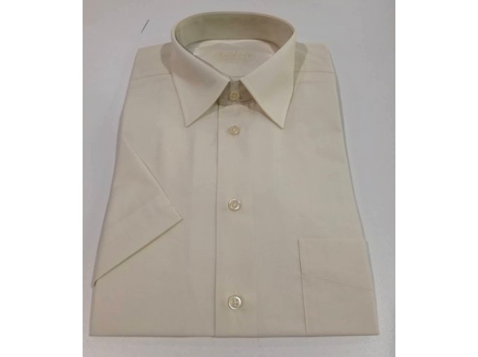 84612980 175628883731353 5584081573612879872 n