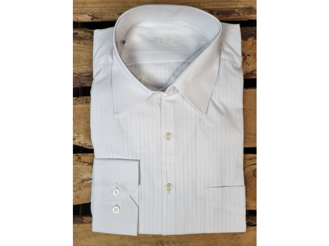 288501058 582766993267651 1726621881175136900 n