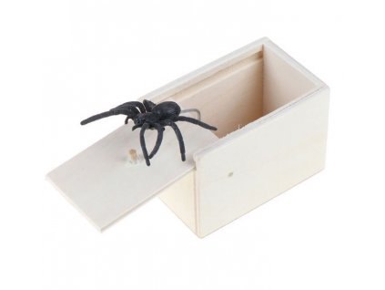 0052458 pavouk v krabicce