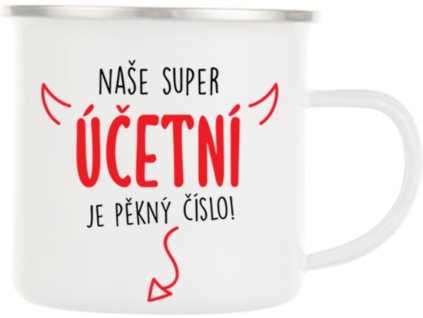 plechacek nase super ucetni 1