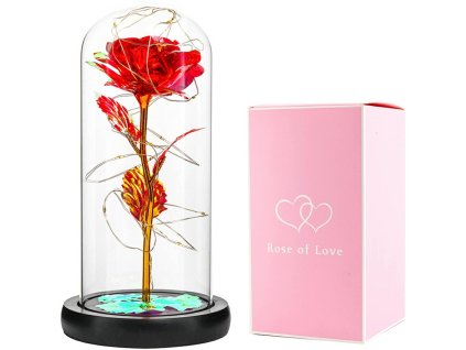 15531 svitici ruze ve sklenene vaze 1