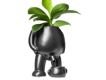 17796 curajici kvetinac 4