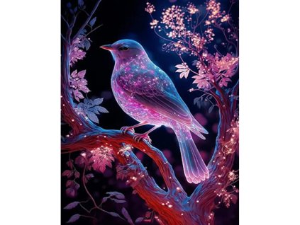 17832 2 diamantove malovani 5d nocni ptacek 2