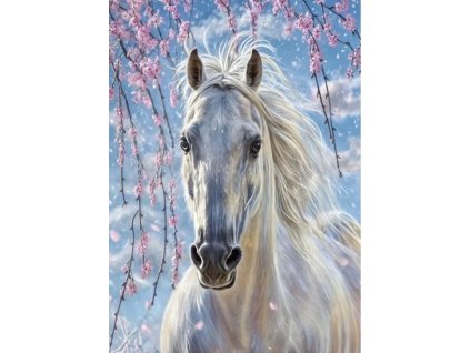 17862 2 diamantove malovani 5d bily kun 2