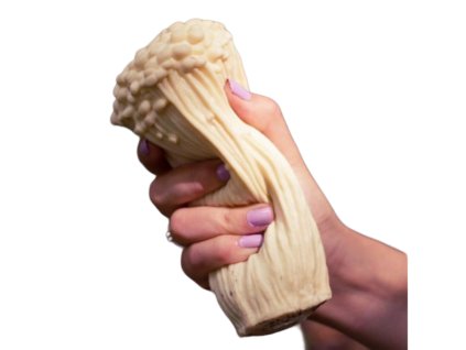 3004 antistresovy hrib penizovka sametonoha