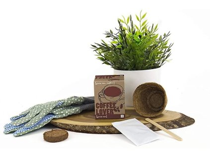 513 2 grow me vlastni kava 3