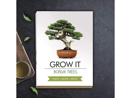 90 2 grow it bonsai 3