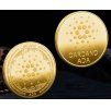 Cardano mince (Barva Stříbrná)
