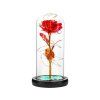 15531 1 svitici ruze ve sklenene vaze 2