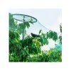 17523 1 ochranna sit proti ptakum birdnet 2x10m 2