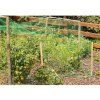 17523 ochranna sit proti ptakum birdnet 2x10m 9