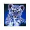 17820 8 diamantove malovani 5d tygr 9