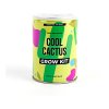 18216 2 grow tin kaktus 3