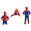 Dětský kostým - Spiderman