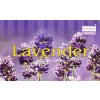 Vonný františek LAVANDER 10 ks