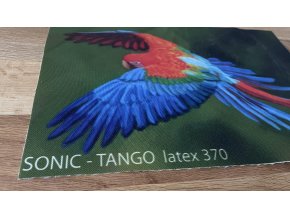 sonic tango