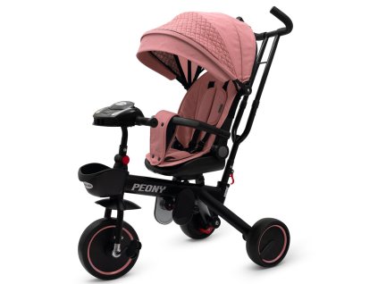 Dětská tříkolka Baby Mix Peony EVA růžová