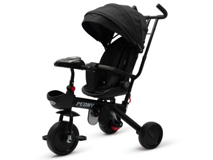 Dětská tříkolka Baby Mix Peony EVA černá