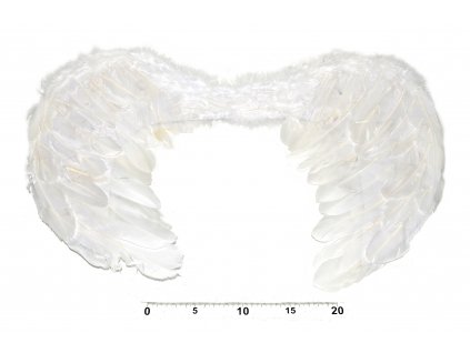 Andělská křídla 55x40 cm