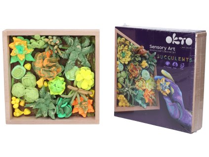 OKTO Energy Výtvarná modelovací sada sukulenty v dřevěném rámu 21x21 cm