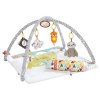 Fisher-Price Hrací dečka 5 smyslů