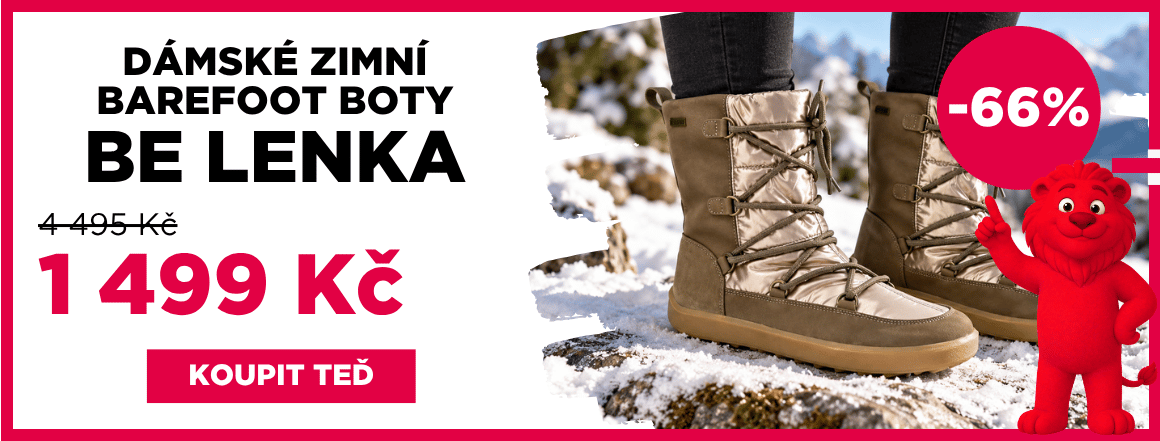 Dámské zimní boty