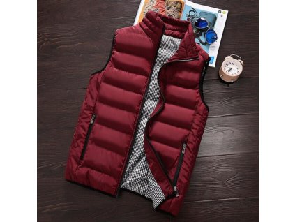 Pánská vesta Brycen