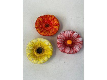 WhatsApp Image 2026 03 16 at 16.40.34