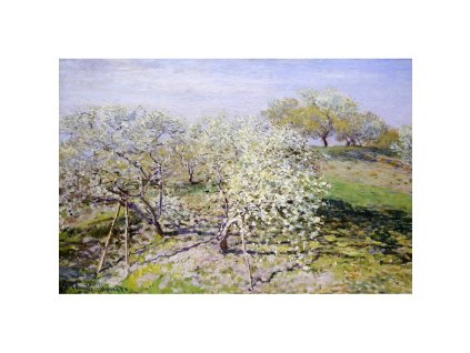 60d86cec1cb07c25f2bdf0d7073b68430866be3d 1000x1000