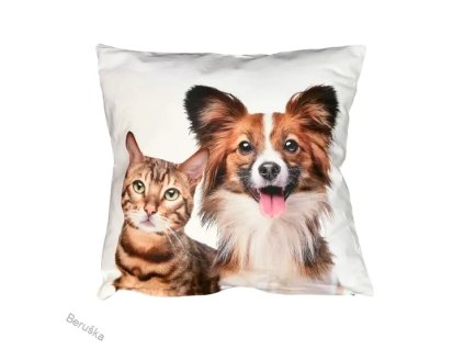 POVLAK-PŘÁTELSTVÍ1