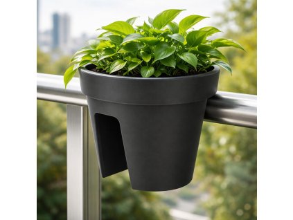 PHOTO 2026 01 30 07 49 25