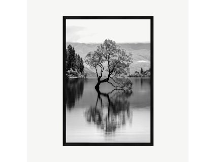 Obraz strom 70x100 cm