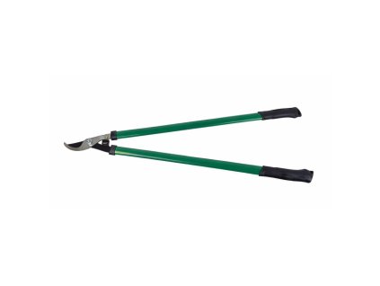 ChatGPT Image 25. 2. 2026 08 02 24