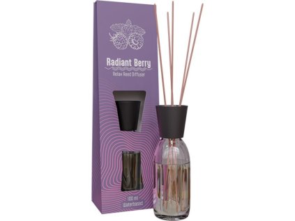 Difuzér POWER AIR Radiant Berry 100 ml